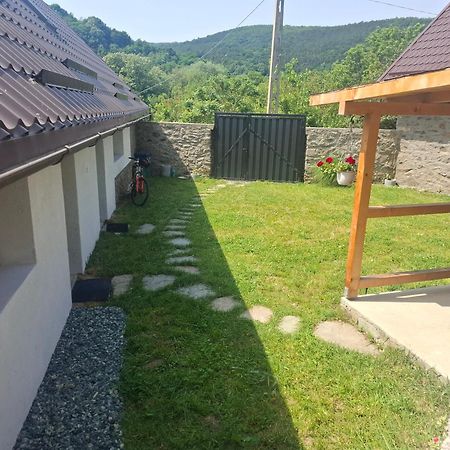 Willa Casa Noua Sasca Montană Zewnętrze zdjęcie