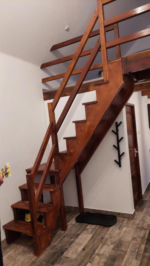 Willa Casa Noua Sasca Montană Zewnętrze zdjęcie