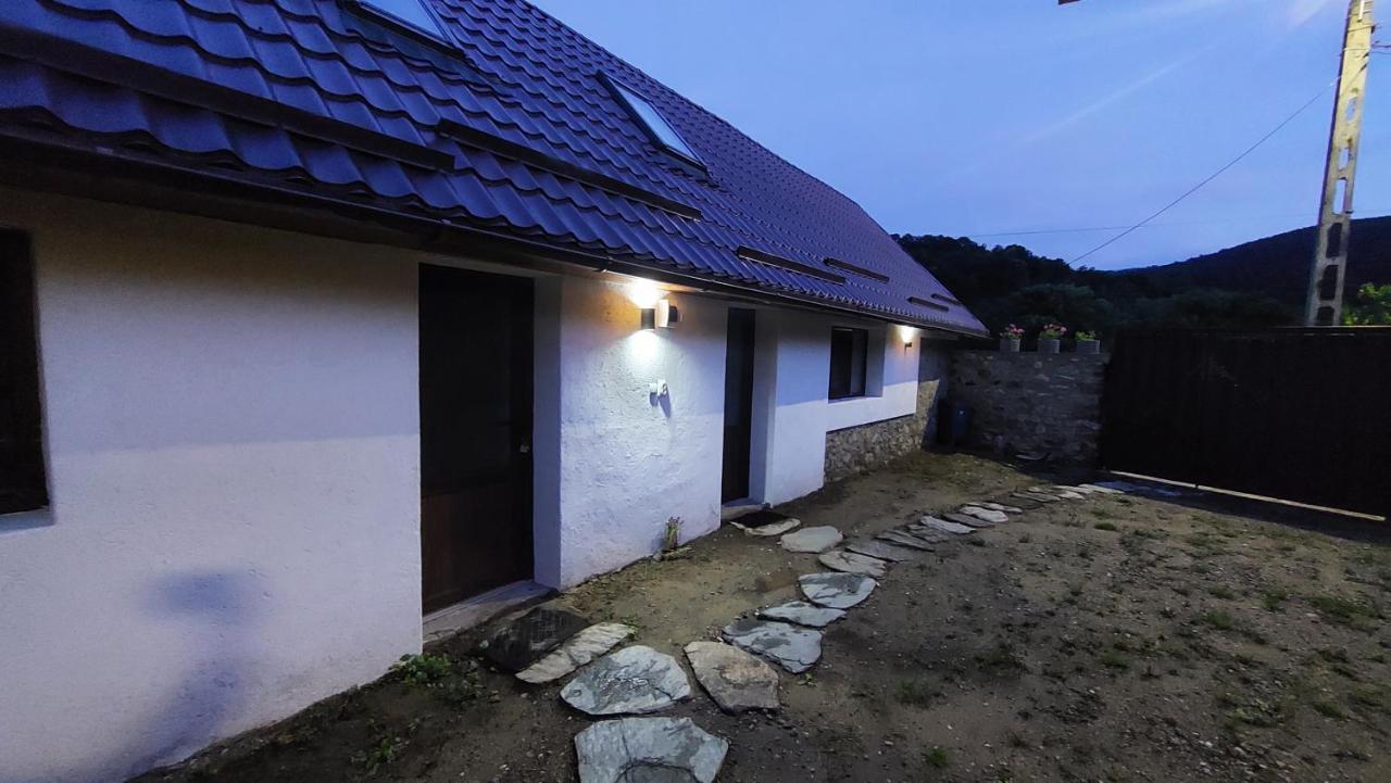 Willa Casa Noua Sasca Montană Zewnętrze zdjęcie