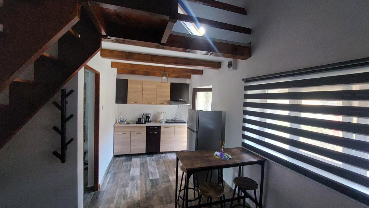Willa Casa Noua Sasca Montană Zewnętrze zdjęcie