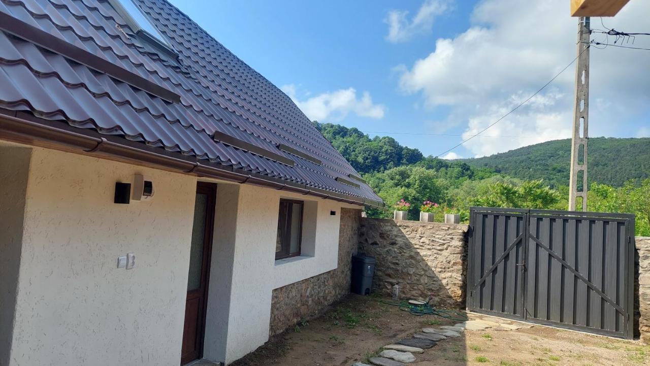 Willa Casa Noua Sasca Montană Zewnętrze zdjęcie