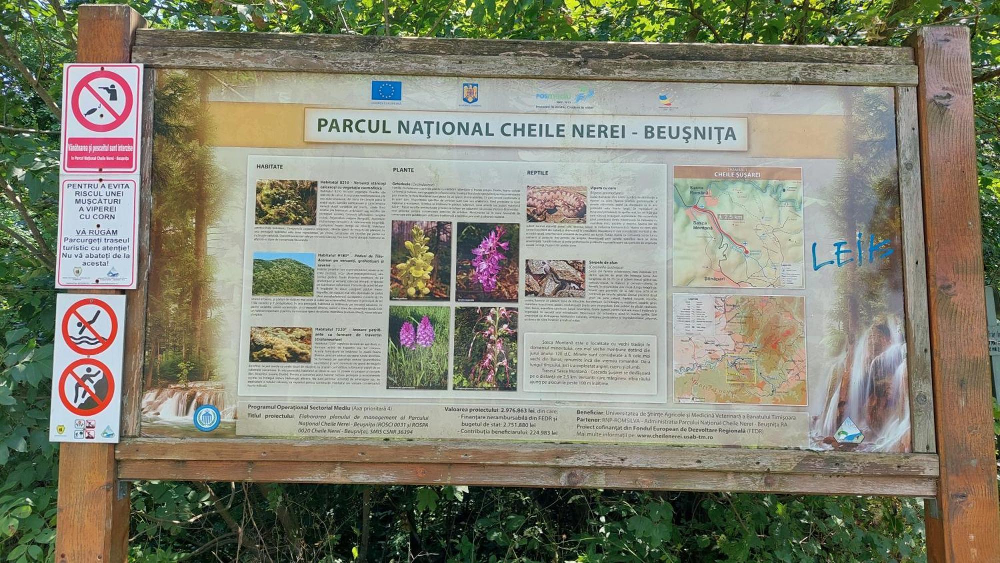 Willa Casa Noua Sasca Montană Zewnętrze zdjęcie