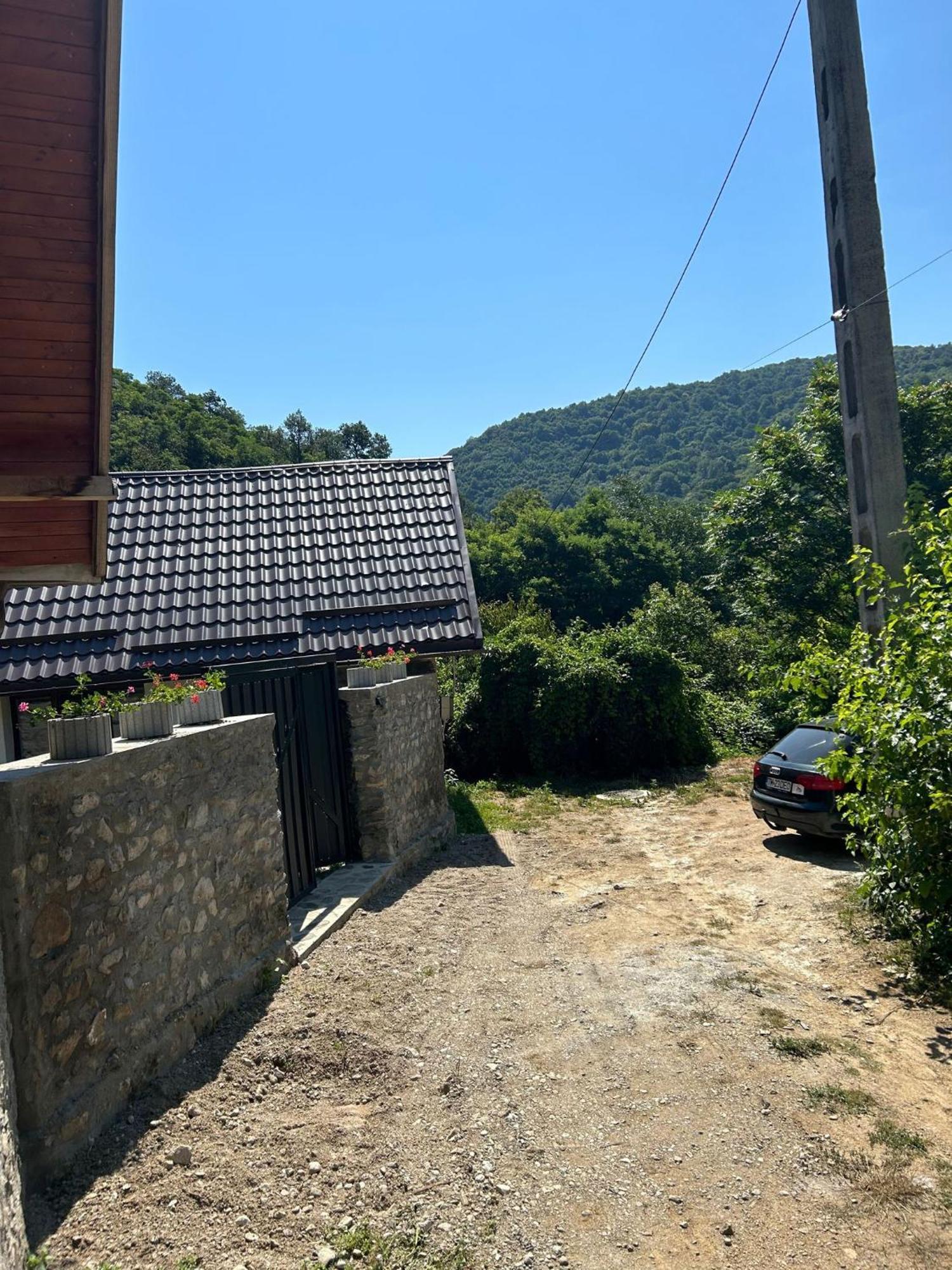 Willa Casa Noua Sasca Montană Zewnętrze zdjęcie